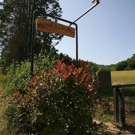 Ginestraio Landsted Palaia
